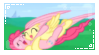 Asset